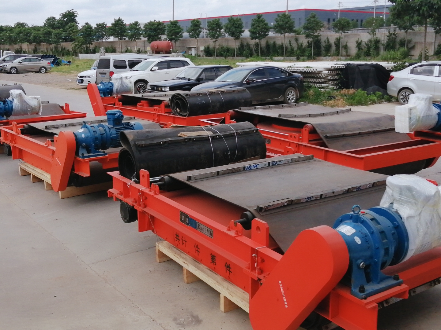 永磁成人午夜视频网站